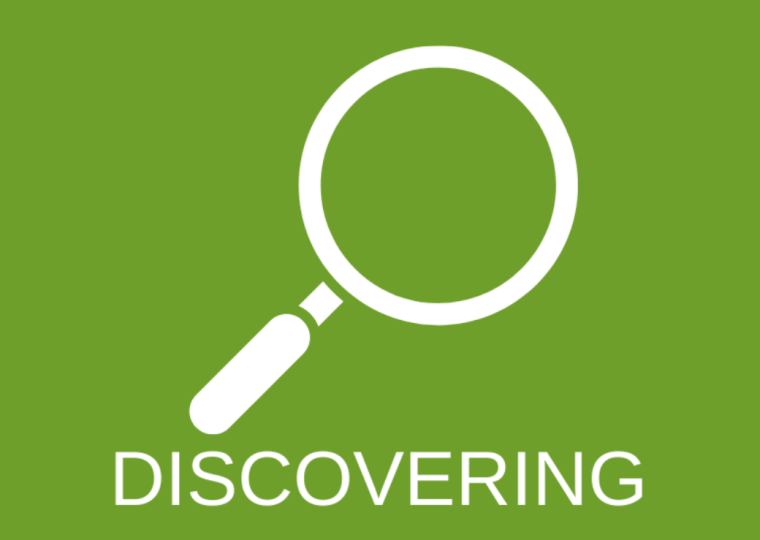 The Discovering Work logo