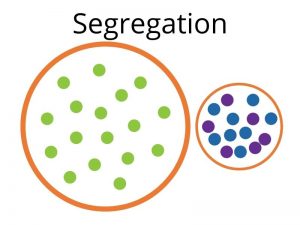 A large circle with green dots (mainstream school) and a separate circle containing blue and purple dots (segregated setting)