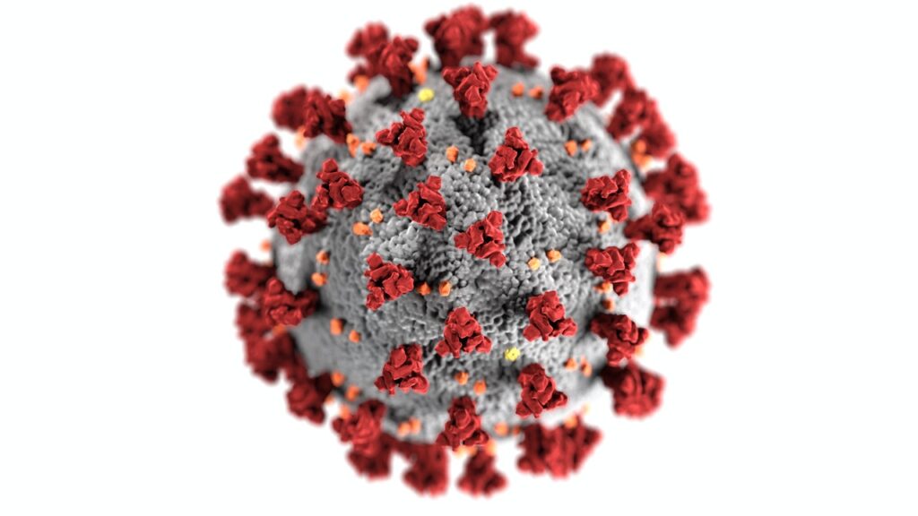 A coronavirus particle